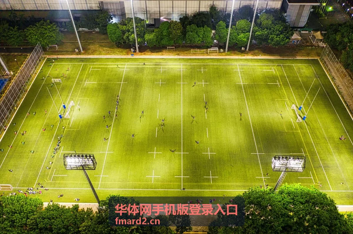 华体网手机版登录入口常见问题与支持答疑页示意图